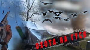 Отличная Охота на гуся, пыльная буря. Excellent goose hunting, dust storm. 4К