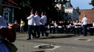 Пермский губернский оркестр. Танец маленьких лебедей.