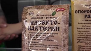 Компания Ортон. Выставка Цветы 2018, ВДНХ. Интервью.