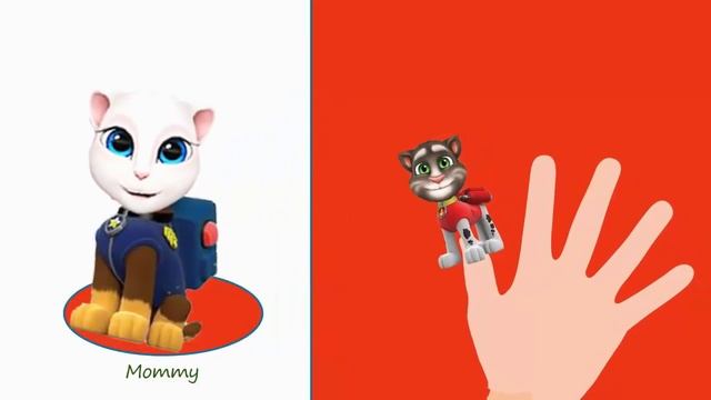Talking Tom Cat Finger Family Nusery Rhymes Daddy Finger смотреть онлайн