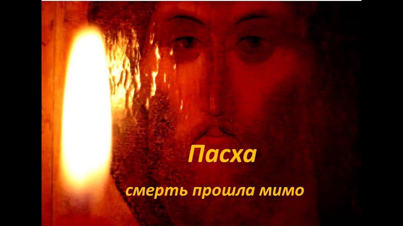 ПАСХА смерть прошла мимо