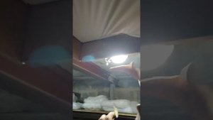 обучение натяжным потолкам