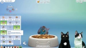 Embarazada de trillizos en los SIMS 4 con mis gatos Luna y Estrella CAP 12 / Videos de gatitos
