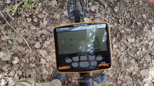 БАТЛ МУЛЬТИЧАСТОТНИКОВ 1 Minelab Manticore, Equinox, Vanquish, XP Deus 2, Nokta Legend, Garrett Ape