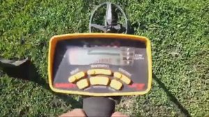 Поиск монет с металлоискателем ace 250. Много сусликов