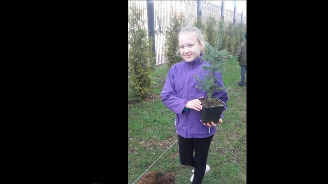 Гимназия 9 Химки 2017 смотреть онлайн