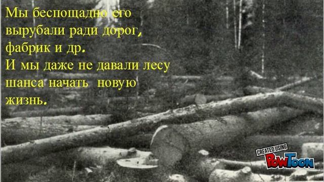 Творческая Работа 7-8 классов Гимназии №45 :"Пусть шумят леса Урала". смотреть онлайн