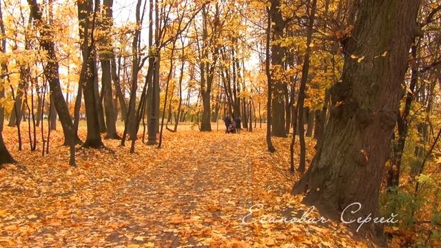 Осень Лошицкий парк в Минске смотреть онлайн