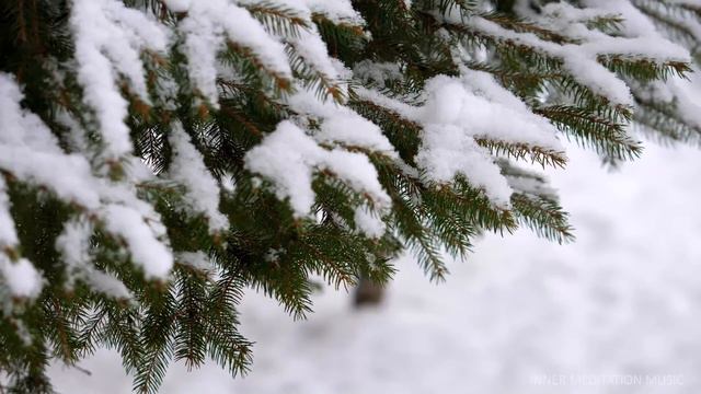 Melodías De Flauta Tibetana | Ahuyenta La Energía Negativa | Elimina Estrés Y Calma La Mente смотреть онлайн