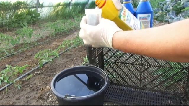 ОПЫТ с удобрениями ОРАКУЛ показал РЕЗУЛЬТАТ