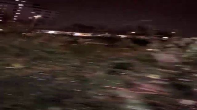 "В центре города Берлина лиса  ходит "🤩🦊 смотреть онлайн