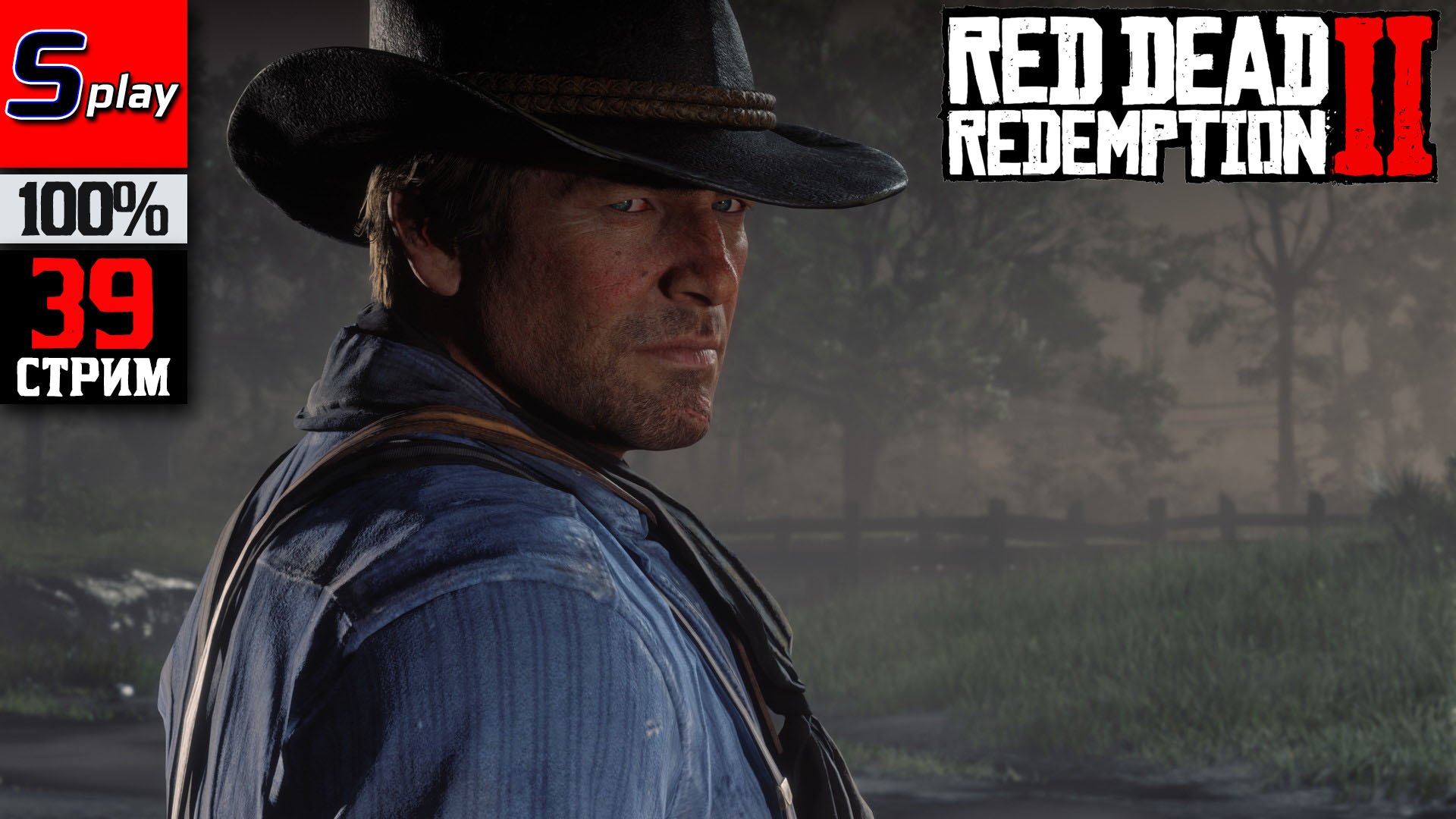 когда будет скидка на red dead redemption 2 steam фото 117