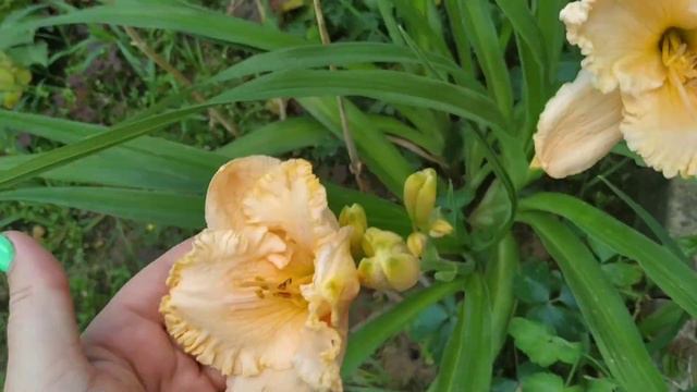 Приехала с ночной смены и в бой. а потом что было 🤣 вы увидите не сразу. смотреть онлайн