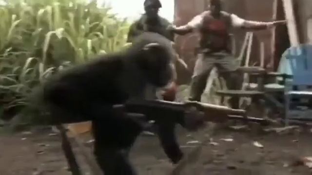 Не давайте пьяной обезьяны калаш)) смотреть онлайн