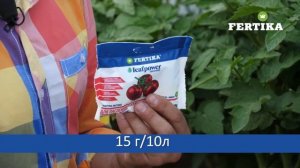 LEAF POWER Фертика - для пасленовых культур