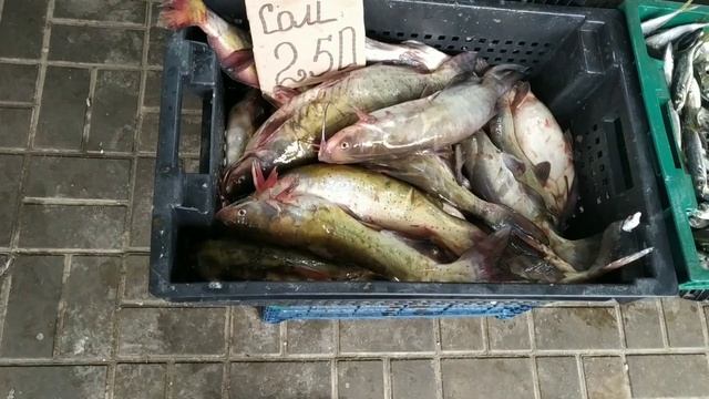 цены на рыбу в Феодосии в феврале смотреть онлайн