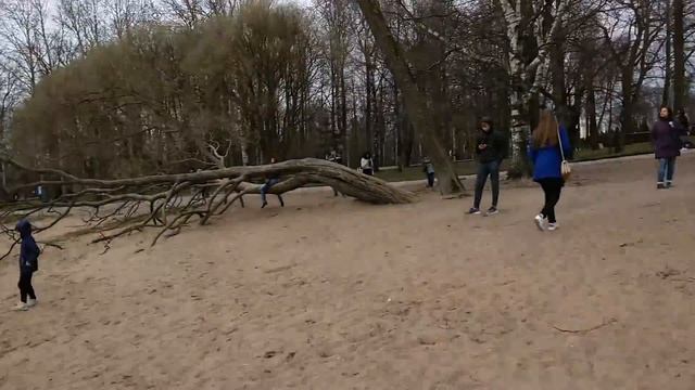 финский залив в Петергофе смотреть онлайн