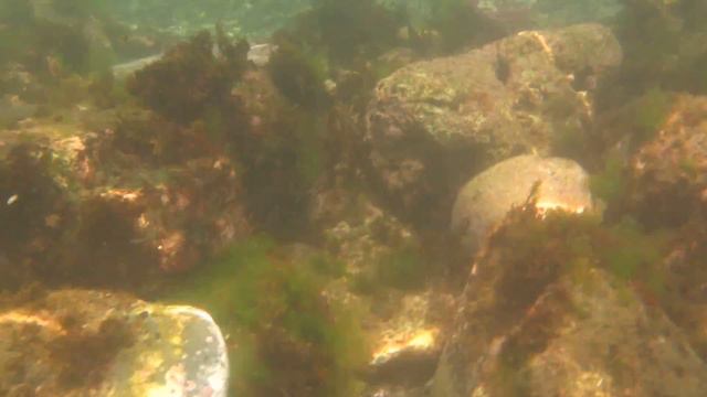 【Canon Powershot D20】1920x1080 24fps 實拍A by Mobile01 смотреть онлайн