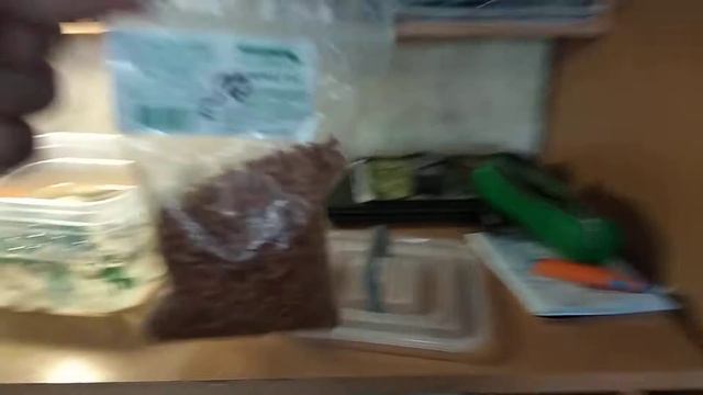 Моя красноухая черепаха!!! смотреть онлайн