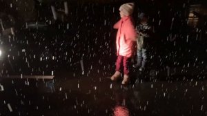 Необычная Зима в Сочи. Декабрь, январь и февраль в Сочи