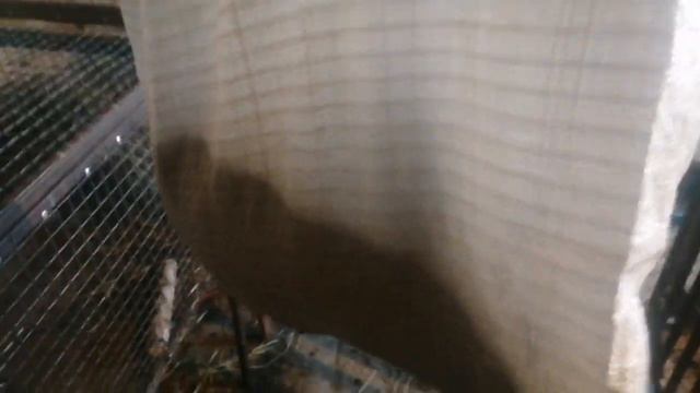 РАЗВЕДЕНИЕ КРОЛИКОВ С НУЛЯ / ВЕС МОЕГО МАТОЧНОГО ПОГОЛОВЬЯ
