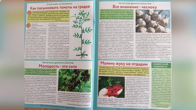Журнальный калейдоскоп