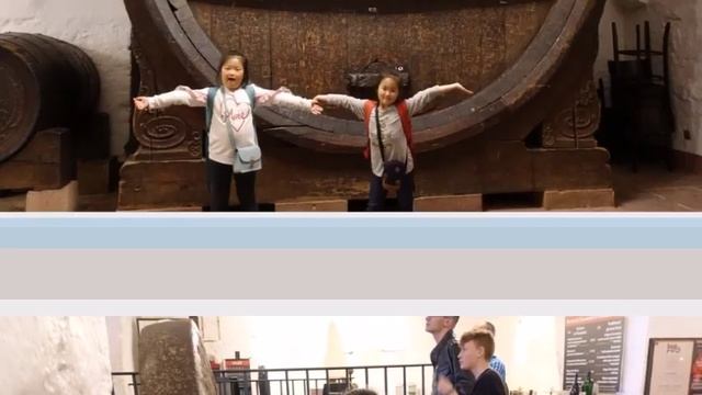 #Germany #Heidelberg #Europe #Travel #Германия #Гейдельберг #Европа #Путешествовать смотреть онлайн