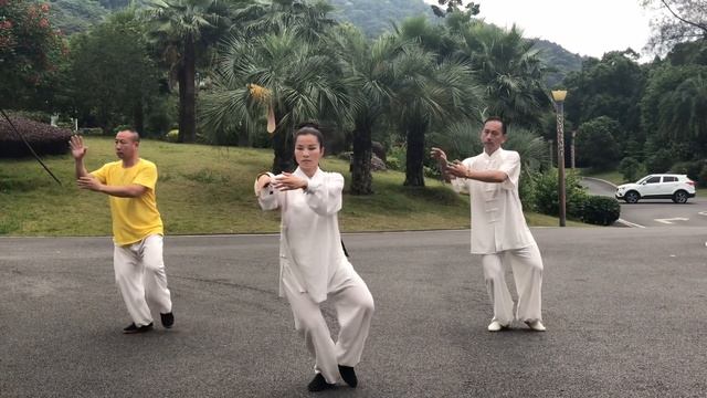 太極拳：24式简化太极拳 演练者：黄冬梅与学员们 смотреть онлайн