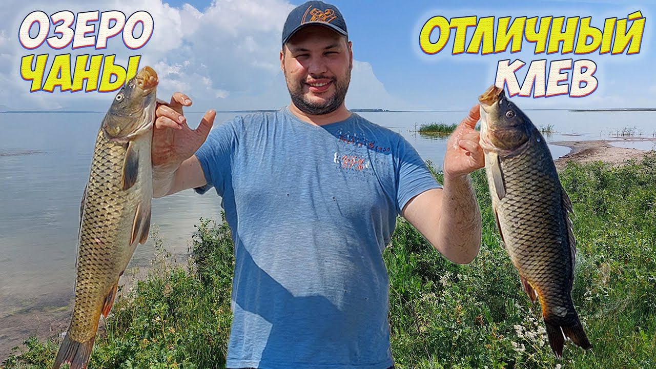 ПОПАЛ НА КЛЁВ!!! КРУПНЫЙ САЗАН РВЕТ СНАСТИ НА МЕЛКОВОДЬЕ! ОЗЕРО ЧАНЫ. смотреть онлайн