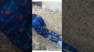 Силовая тренировка для лыжника-гонщика?