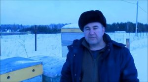 Зимовка пчел 2020 год. Пчеловодство на Урале. Ошибки 2019 года. Пасека на урале