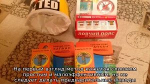 Средство от ос на даче