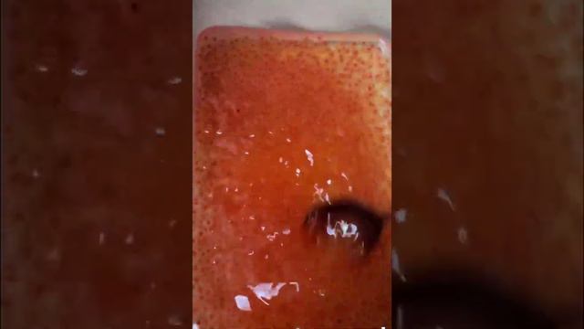 Рыбалка в Корее и красная икра смотреть онлайн