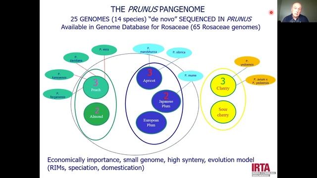 10th CNAG symposium on genome research: de novo sequencing and assembly for biogenome projects смотреть онлайн