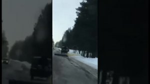 #алтайскийкрай Волчиха - Егорьевское чёрные лесорубы уходят от погони! 24 03 2022г