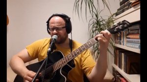 По снегу, летящему с неба (А.Я. Розенбаум) кавер