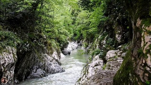 Каньон Чертовы ворота, Хоста (Сочи). Май 2023 #чертовыворота #хоста #сочи #достопримечательностисоч