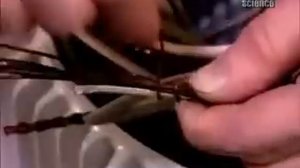 Процесс сборки асинхронного двигателя.