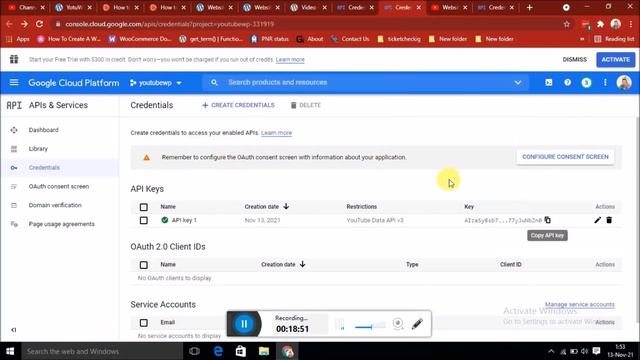 How to Display all YouTube video automatically in WordPress using google api key | Fetch video #api