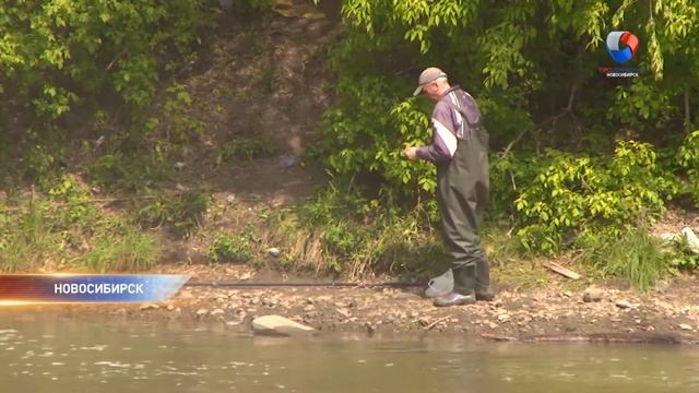 Сточные воды отравляют Обь смотреть онлайн