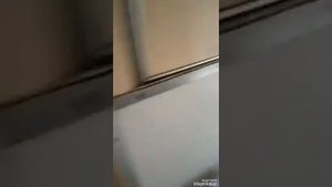 Встречаем щенка с поезда/первая встреча с щенком лабрадора/моя новая собака Моника.