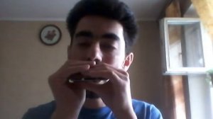 Финская полька/Leva's Polka #губнаягармошка  #harmonica #stratocastro #harp
