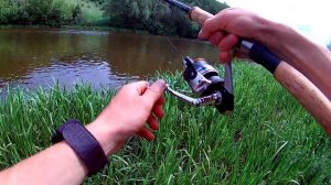 Рыбалка на фидер на двух реках. Жадный голавль.(LiveFishing)