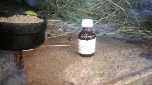 Ушной клещ у кроликов.Лечение ушного клеща.Ивермек средство от ушного клеща, блох, глистов у кролик