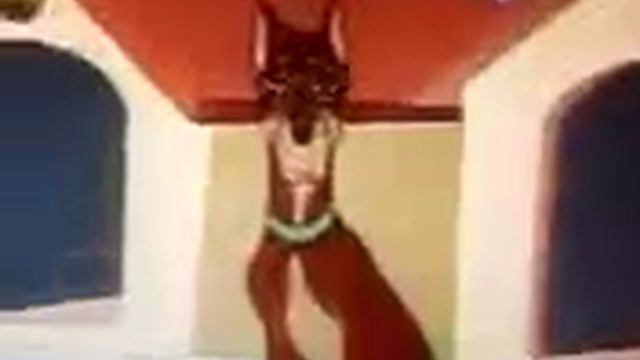 Doberman Pincher смотреть онлайн