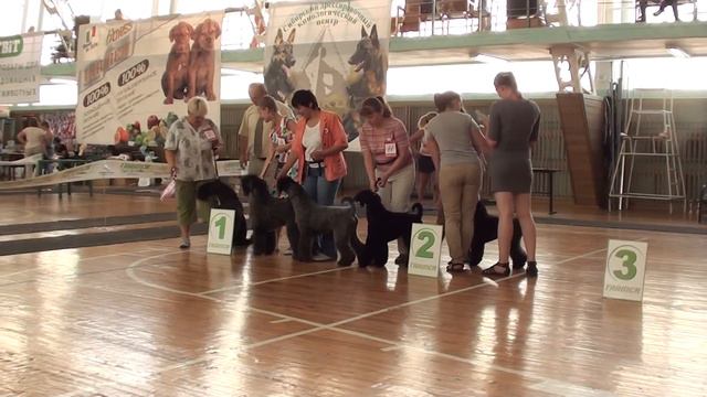 Выставка собак 05.08.2012 г г смотреть онлайн
