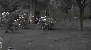 Илья Васецкий в Школе Ландшафтного Дизайна. Выпуск 6.mp4