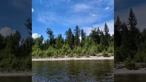 Рыбалка Дениса на р. Селемджа