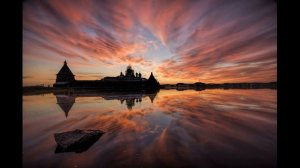 Бабочка бледная