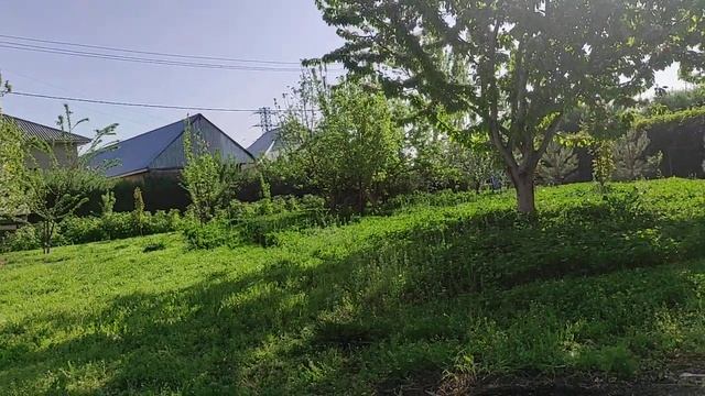 Уход за газоном. Как и чем косить газон. Выбираем газонокосилку.